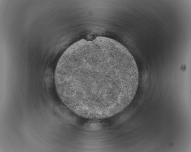 X0000112780228200909171344