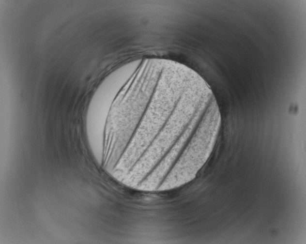 X0000112780229200909171344