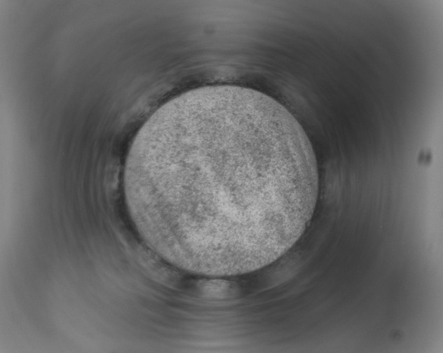 X0000112780230200909171344