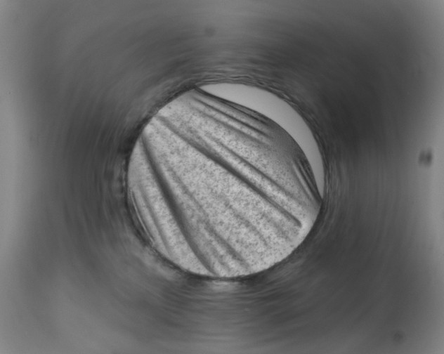 X0000112780233200909171344