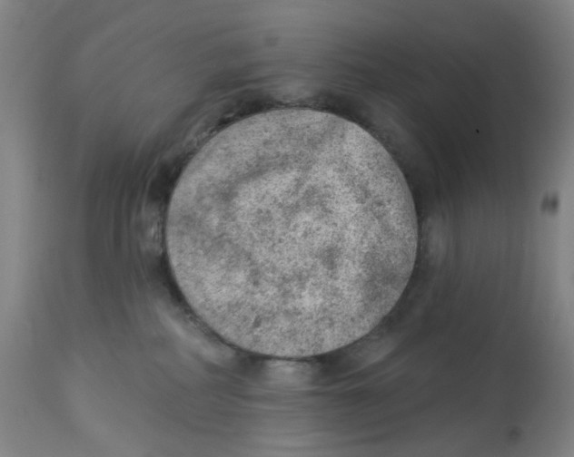 X0000112780234200909171344