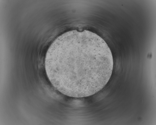 X0000112780236200909171344