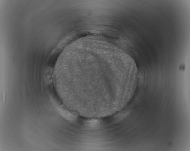 X0000112780237200909171344