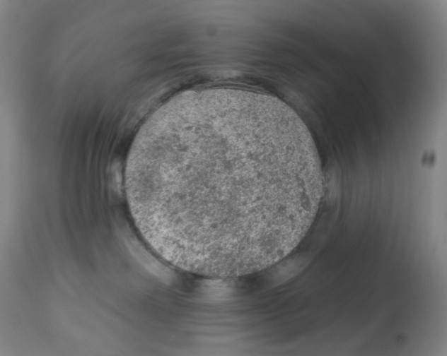 X0000112780238200909171344