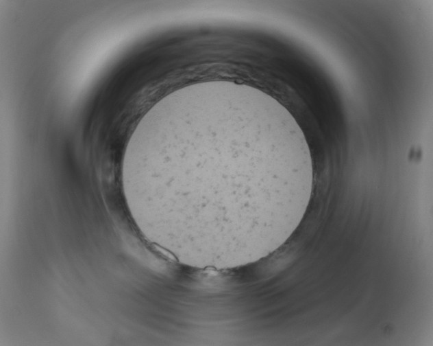 X0000112780239200909171344