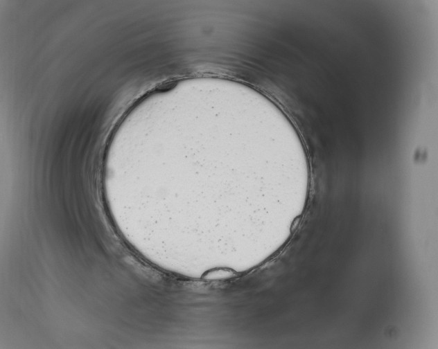 X0000112780241200909171343