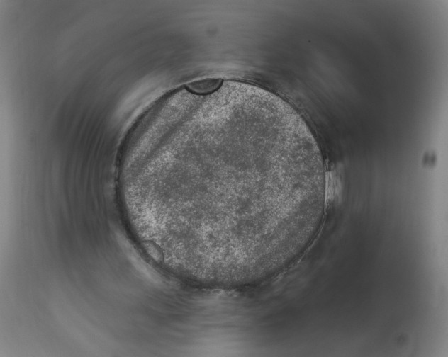 X0000112780243200909171343