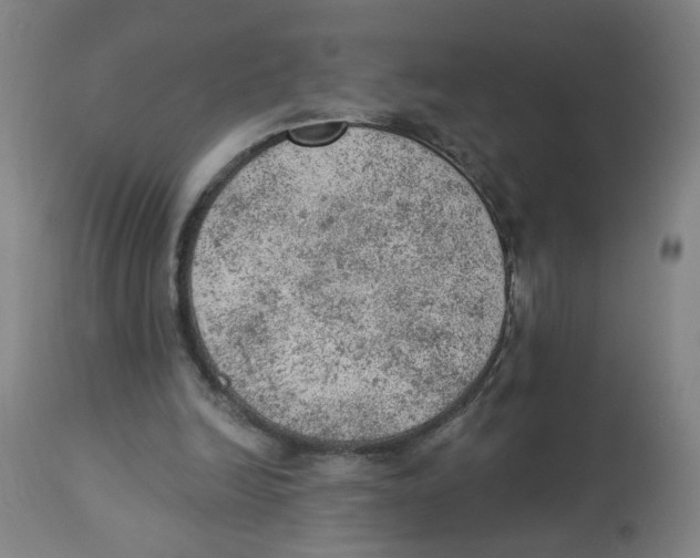 X0000112780246200909171343