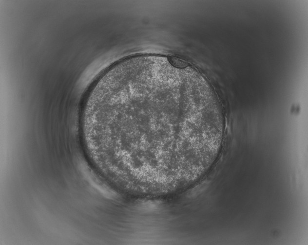 X0000112780247200909171343