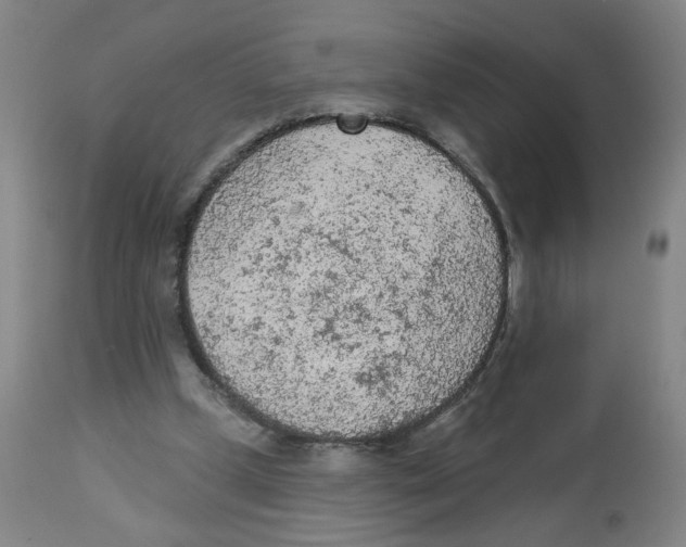 X0000112780249200909171343