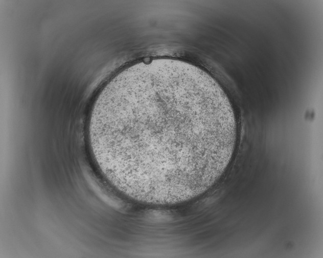 X0000112780250200909171343