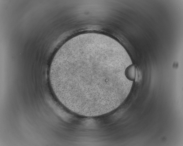 X0000112780253200909171343