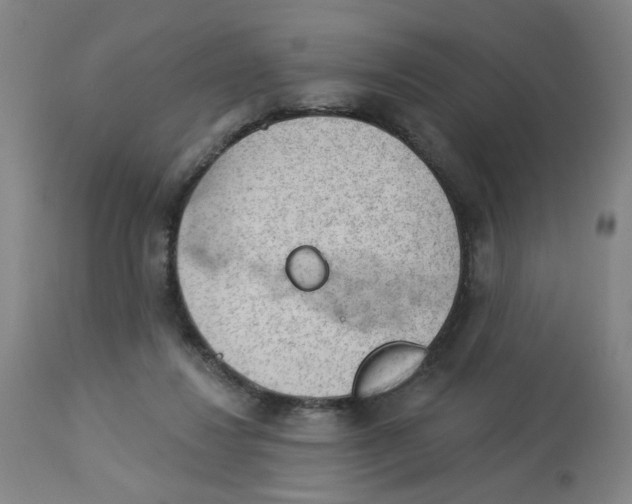 X0000112780260200909171343