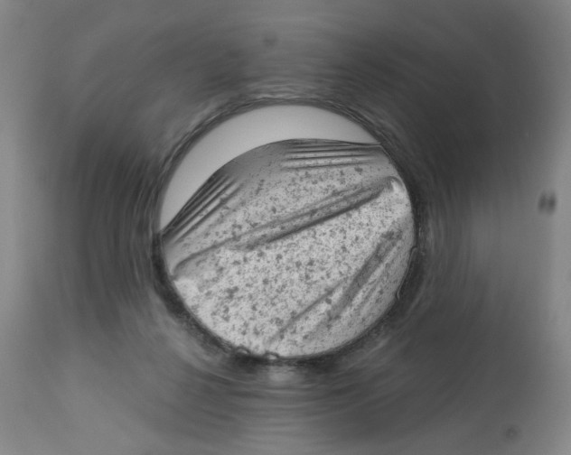 X0000112780264200909171343