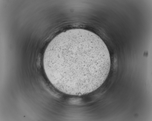 X0000112780266200909171343