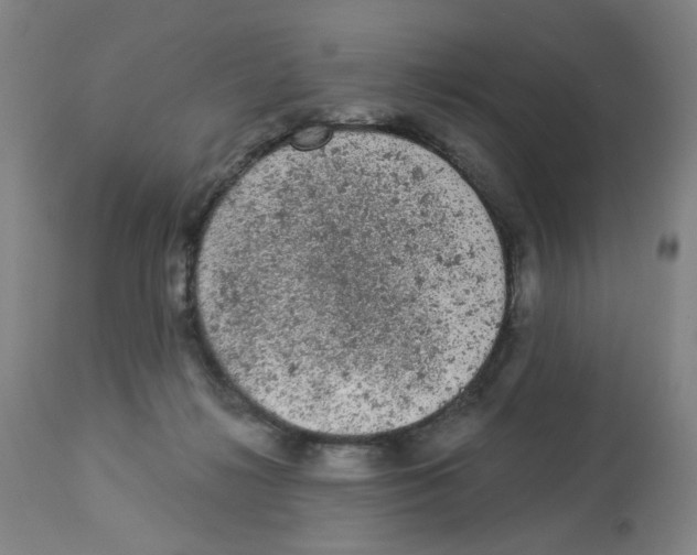 X0000112780268200909171343