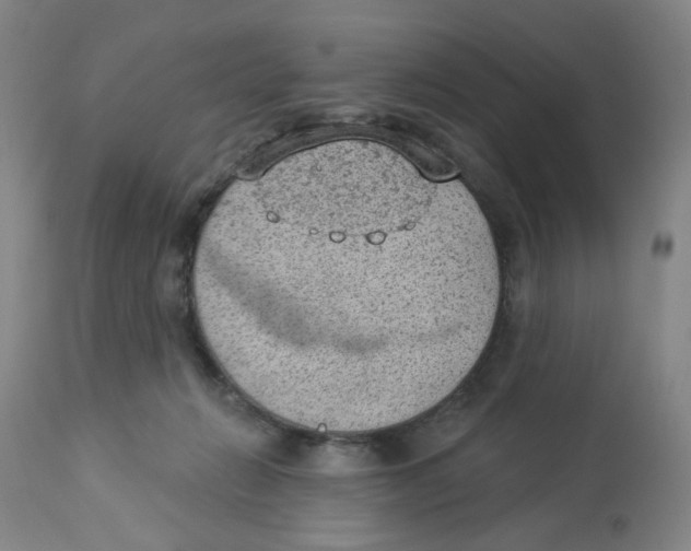 X0000112780270200909171343