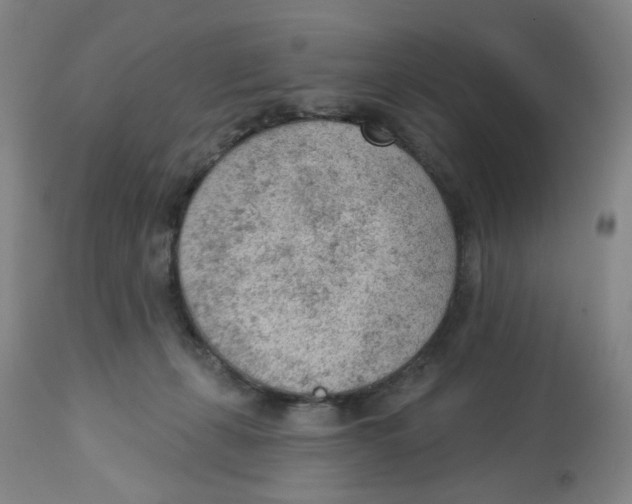 X0000112780271200909171343