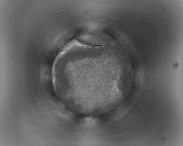 X0000112780272200909171343