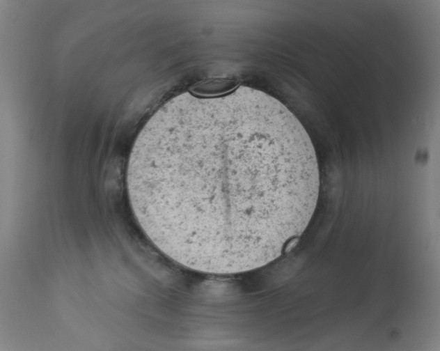 X0000112780280200909171343