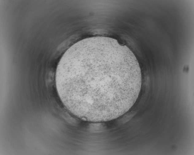 X0000112780281200909171343