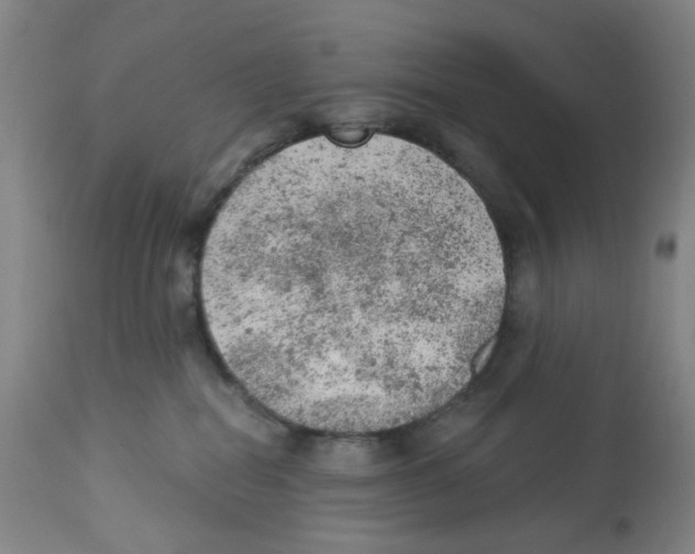 X0000112780282200909171343