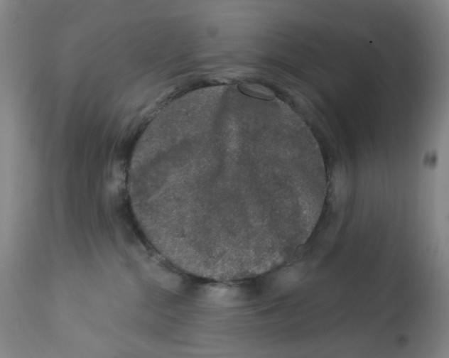 X0000112780284200909171343