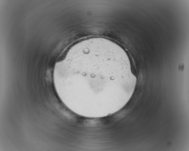 X0000112780286200909171344