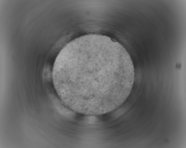 X0000112780287200909171344