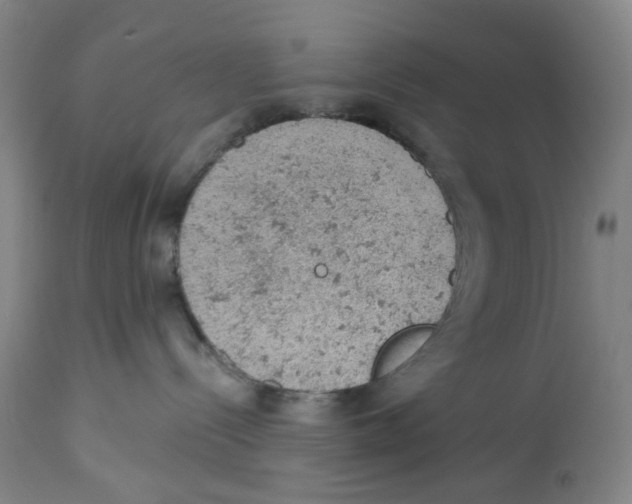 X0000112780288200909171344