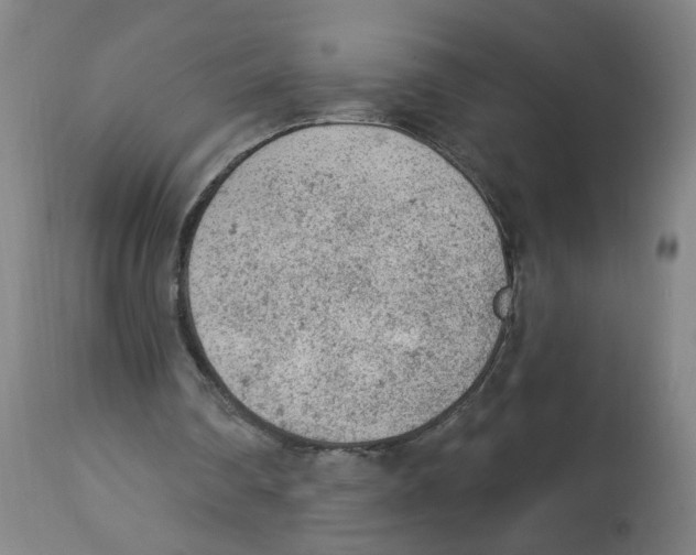 X0000112780290200909171343