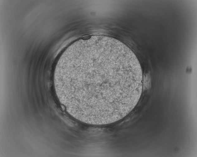 X0000112780291200909171343