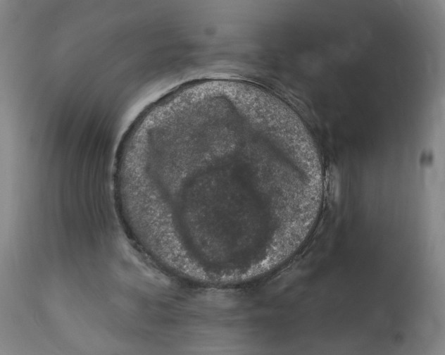 X0000112780292200909171343