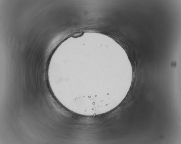 X0000112780293200909171342