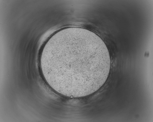 X0000112780294200909171342