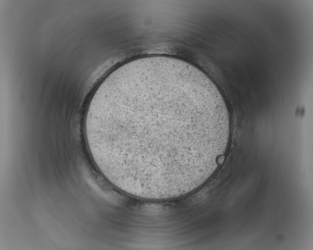 X0000112780298200909171342