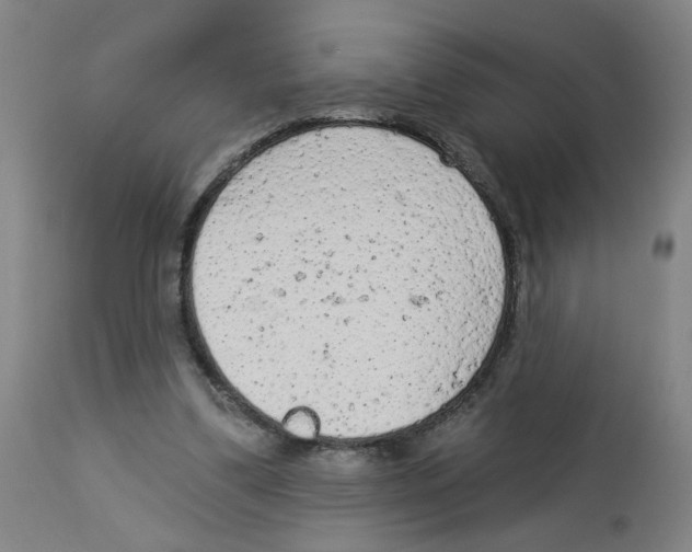 X0000112780299200909171342