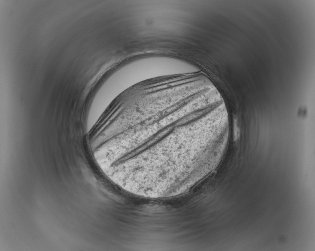 X0000112780300200909171342