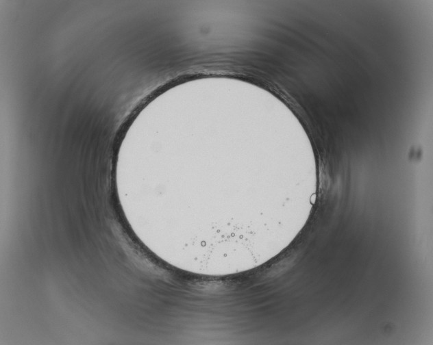 X0000112780301200909171342