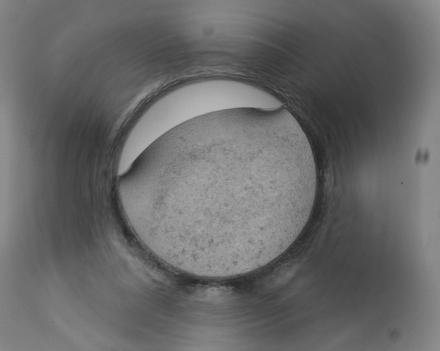 X0000112780304200909171342