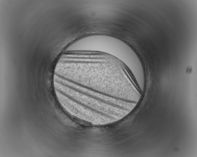 X0000112780305200909171342