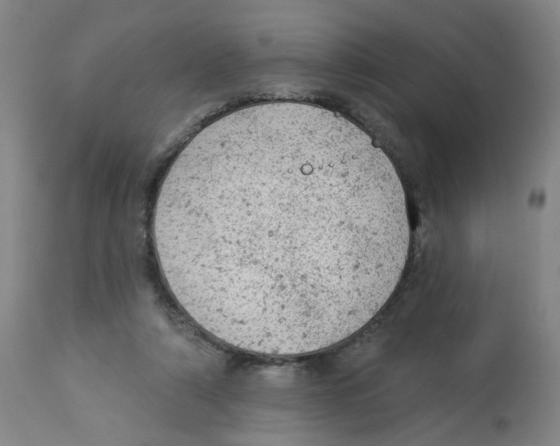 X0000112780306200909171342