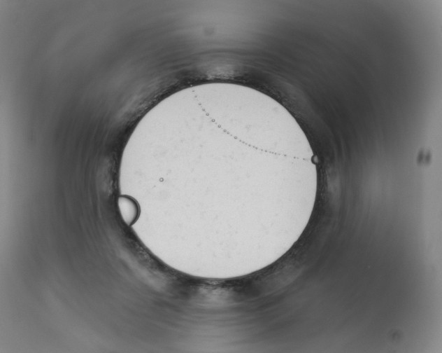 X0000112780311200909171342