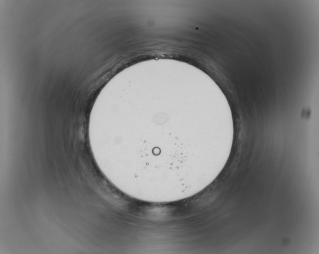 X0000112780313200909171342