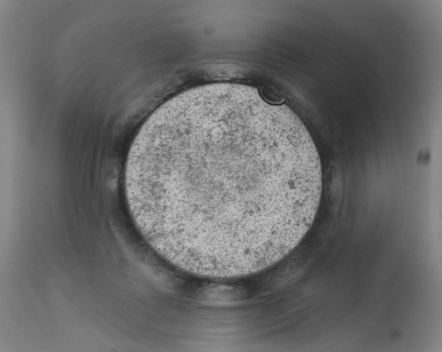 X0000112780315200909171342