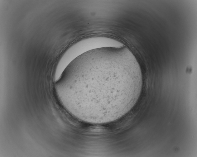 X0000112780316200909171342