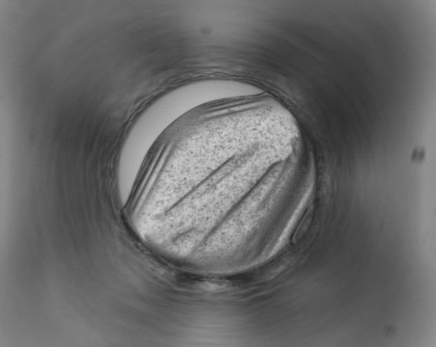 X0000112780317200909171342