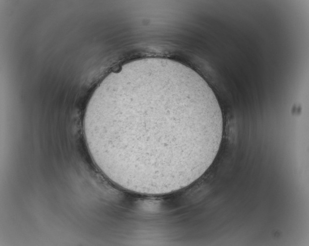 X0000112780318200909171342