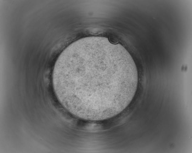 X0000112780319200909171342