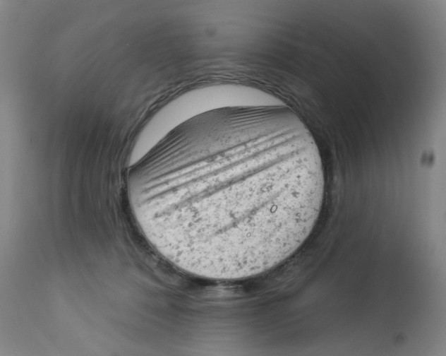 X0000112780320200909171342